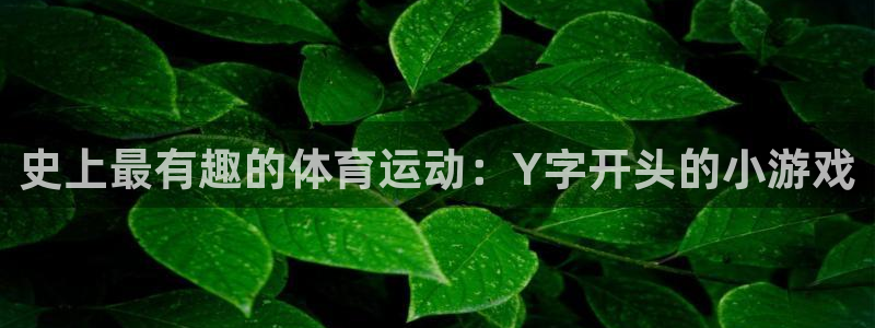 球速体育
