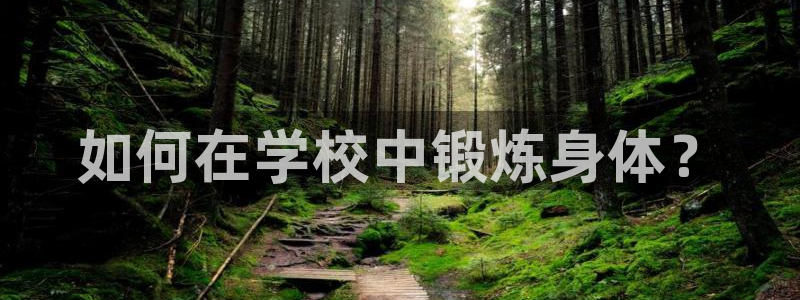 球速体育