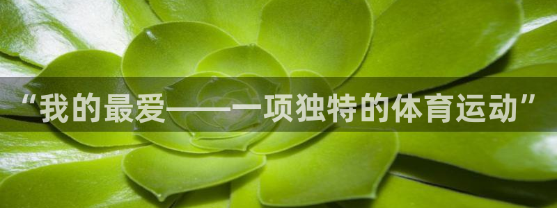 球速体育