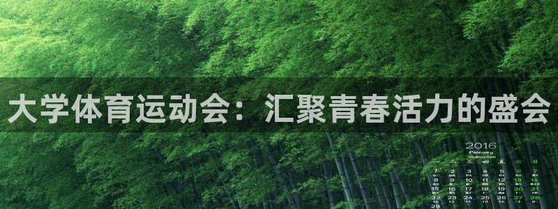 球速体育：大学体育运动会：汇聚青春活力的盛会
