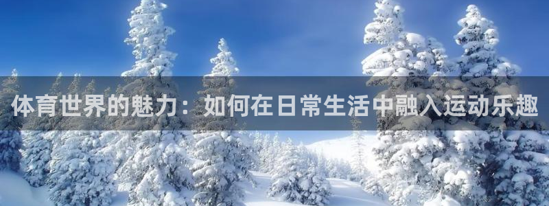 球速体育