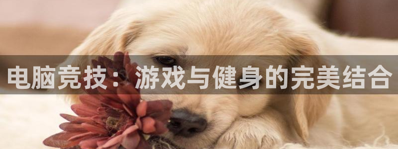 球速体育