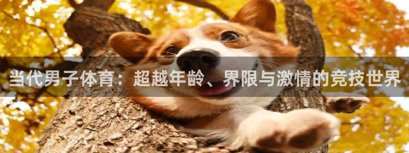 球速体育：当代男子体育：超越年龄、界限与激情的竞技世界